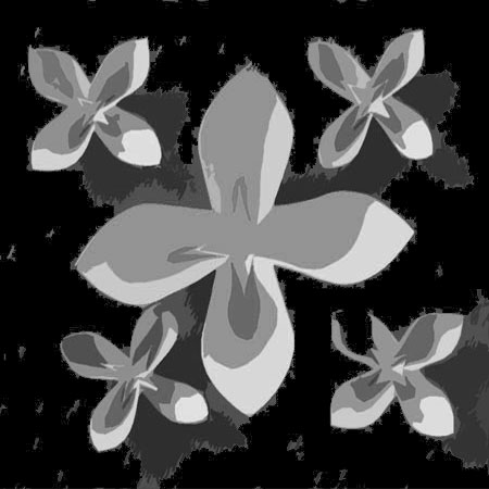 Blomsterskåle, grå
